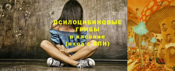 круглые Армянск