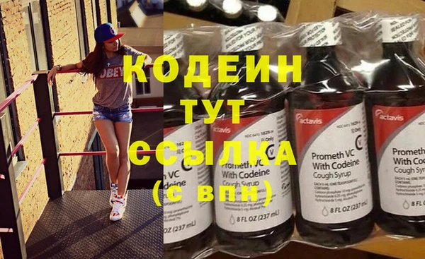трава Арсеньев