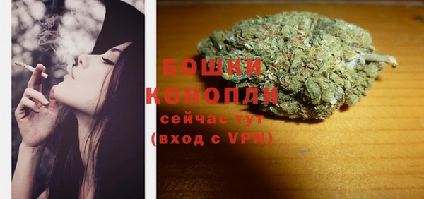 МДПВ Пересвет