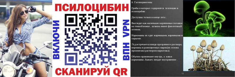 KRAKEN маркетплейс  Чебаркуль  Псилоцибиновые грибы Psilocybine cubensis  где продают  